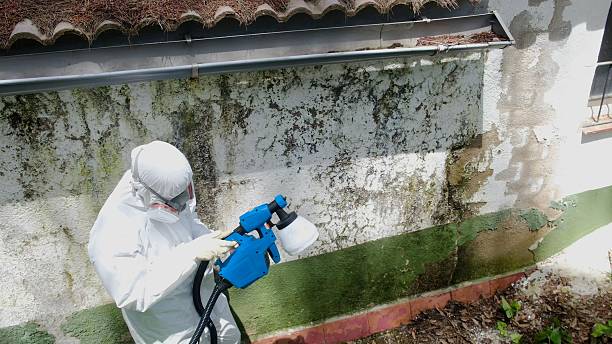Trusted Mold Inspection service in Madison, NJ - Cheap Mold Removal